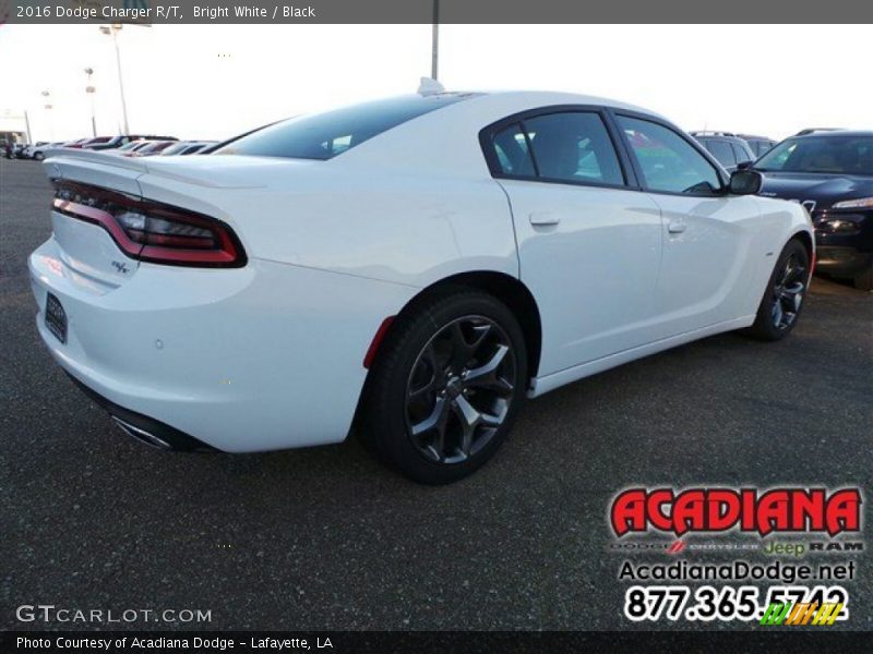 Bright White / Black 2016 Dodge Charger R/T