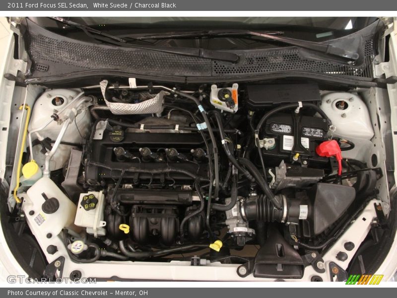 White Suede / Charcoal Black 2011 Ford Focus SEL Sedan