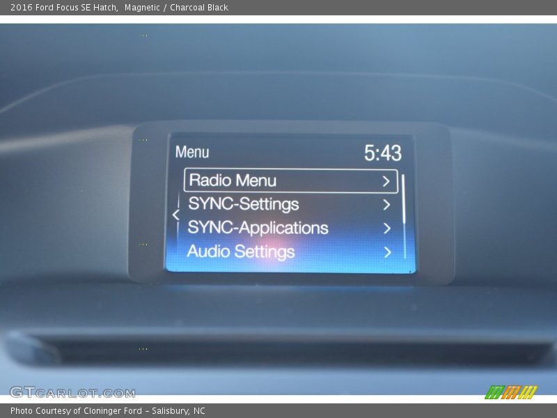 Magnetic / Charcoal Black 2016 Ford Focus SE Hatch