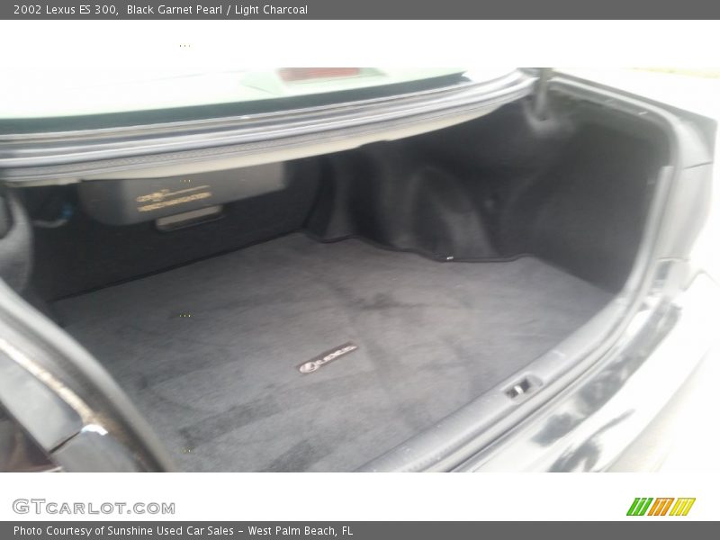 Black Garnet Pearl / Light Charcoal 2002 Lexus ES 300