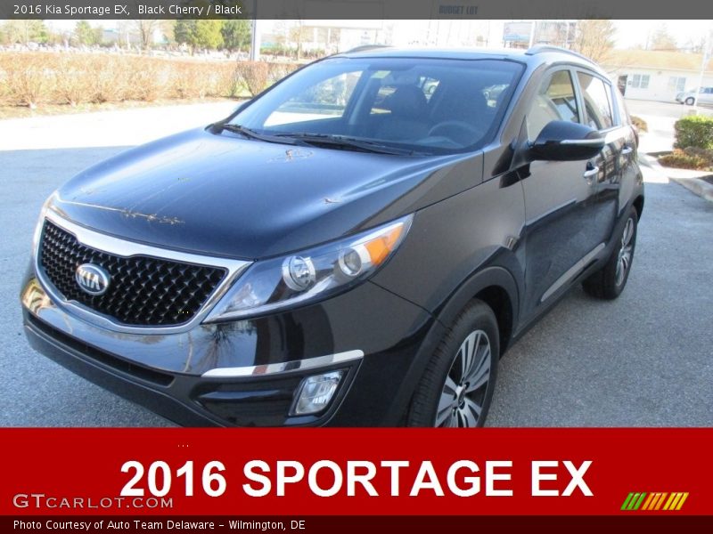 Black Cherry / Black 2016 Kia Sportage EX