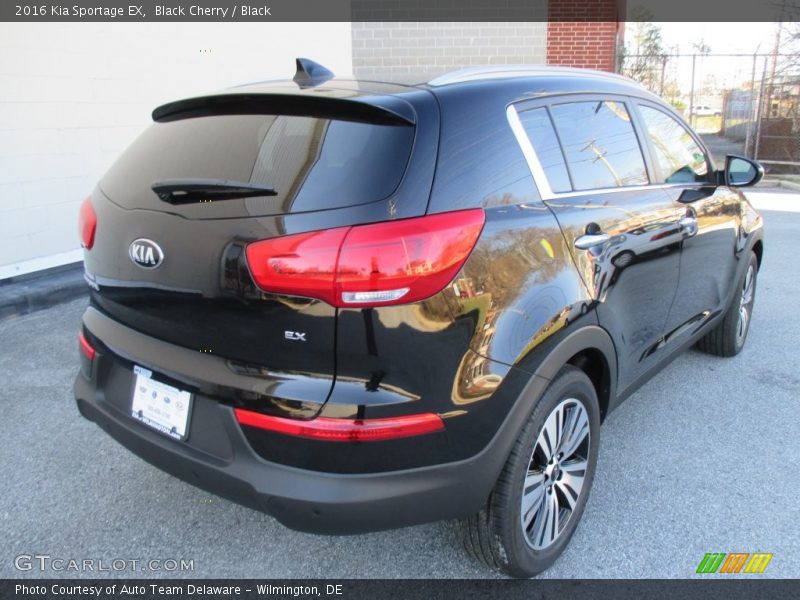 Black Cherry / Black 2016 Kia Sportage EX