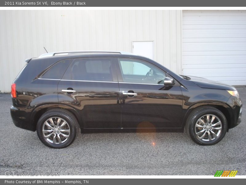 Ebony Black / Black 2011 Kia Sorento SX V6