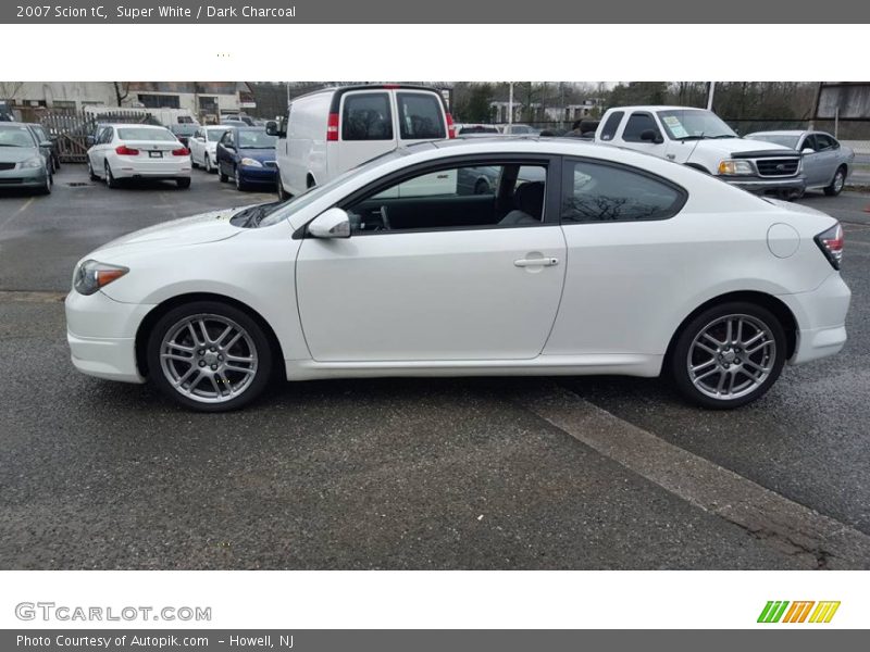 Super White / Dark Charcoal 2007 Scion tC