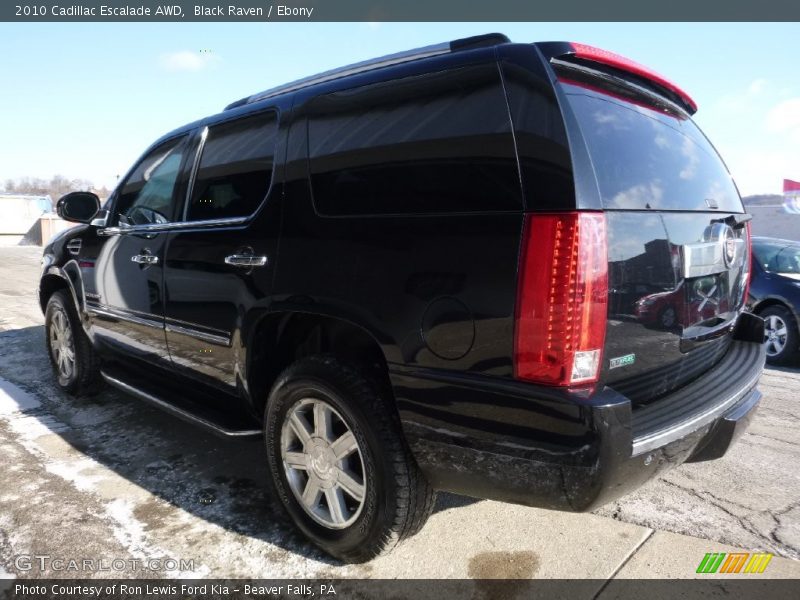 Black Raven / Ebony 2010 Cadillac Escalade AWD
