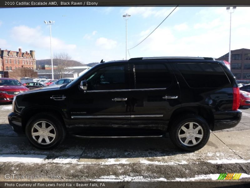 Black Raven / Ebony 2010 Cadillac Escalade AWD