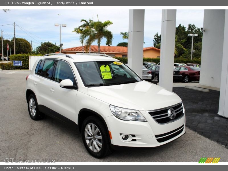Candy White / Charcoal 2011 Volkswagen Tiguan SE