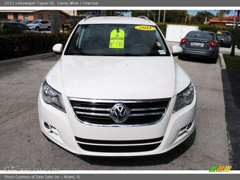 Candy White / Charcoal 2011 Volkswagen Tiguan SE