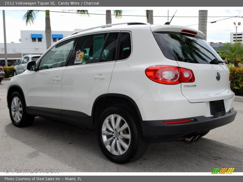 Candy White / Charcoal 2011 Volkswagen Tiguan SE