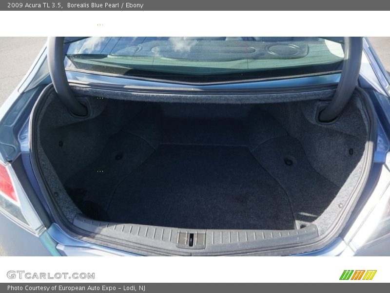 Borealis Blue Pearl / Ebony 2009 Acura TL 3.5