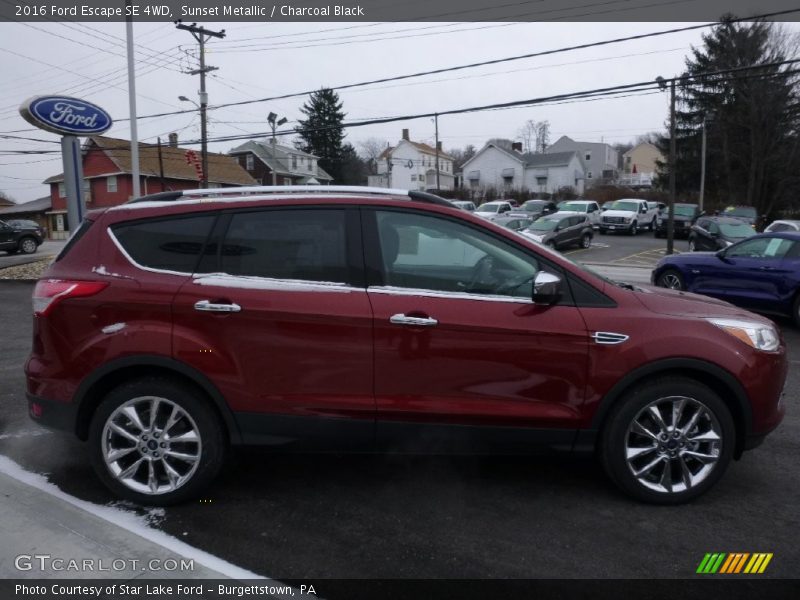 Sunset Metallic / Charcoal Black 2016 Ford Escape SE 4WD