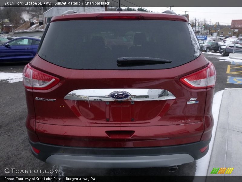 Sunset Metallic / Charcoal Black 2016 Ford Escape SE 4WD