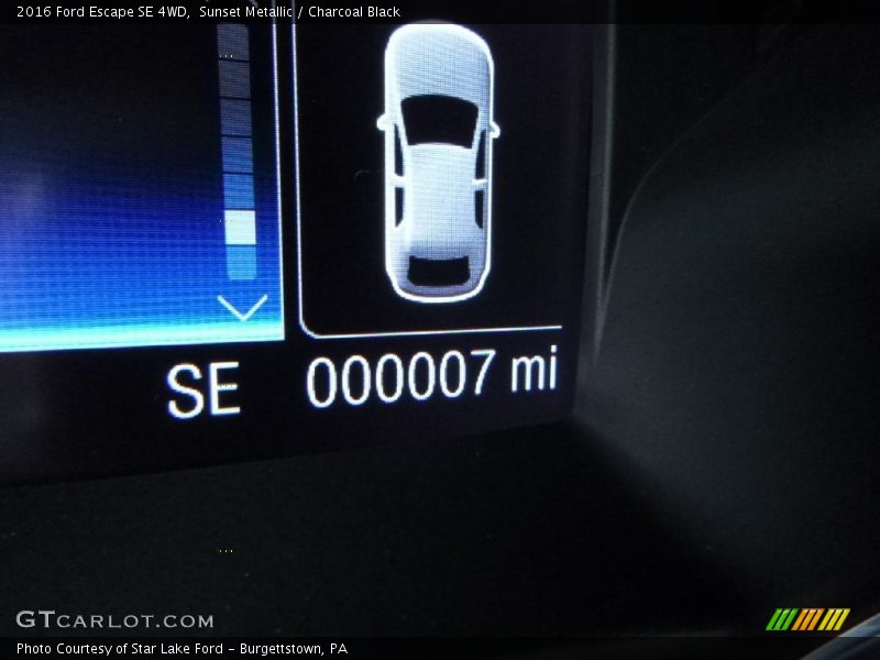 Sunset Metallic / Charcoal Black 2016 Ford Escape SE 4WD