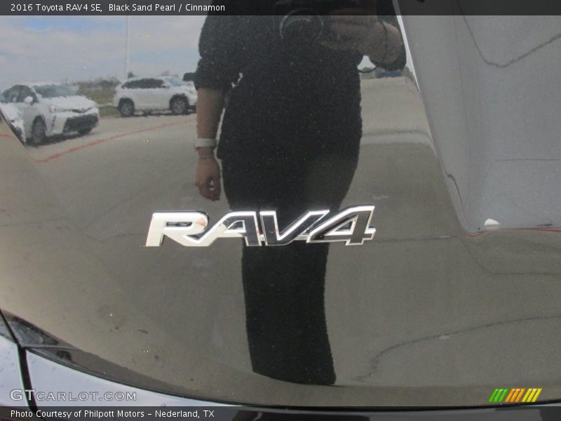 Black Sand Pearl / Cinnamon 2016 Toyota RAV4 SE