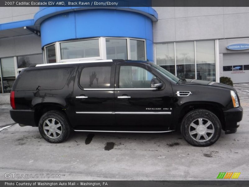 Black Raven / Ebony/Ebony 2007 Cadillac Escalade ESV AWD