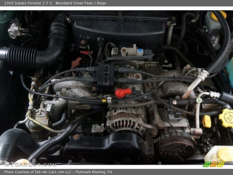 Woodland Green Pearl / Beige 2003 Subaru Forester 2.5 X