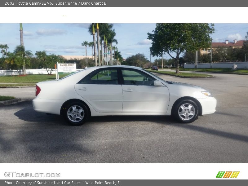 Super White / Dark Charcoal 2003 Toyota Camry SE V6