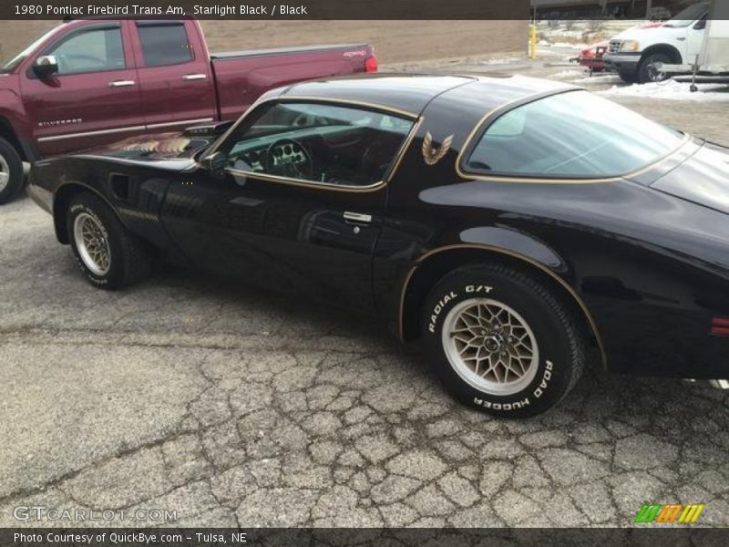 Starlight Black / Black 1980 Pontiac Firebird Trans Am