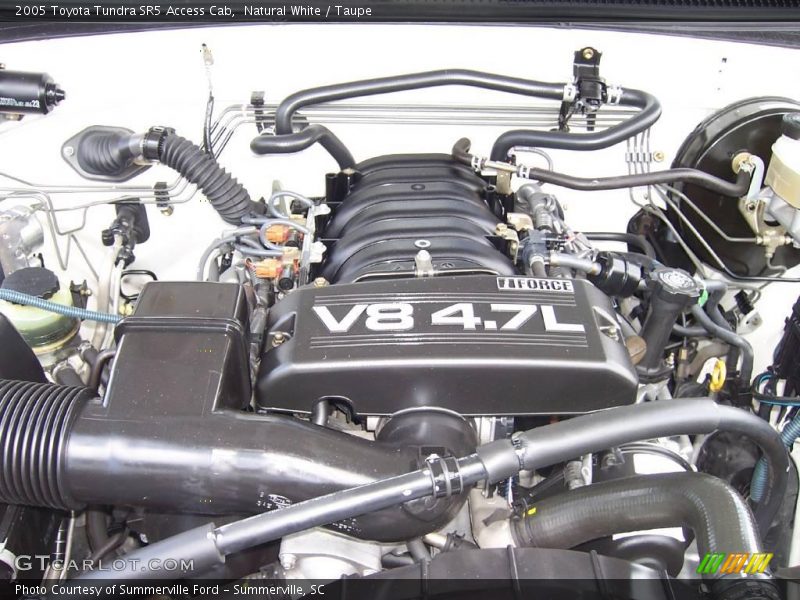 Natural White / Taupe 2005 Toyota Tundra SR5 Access Cab