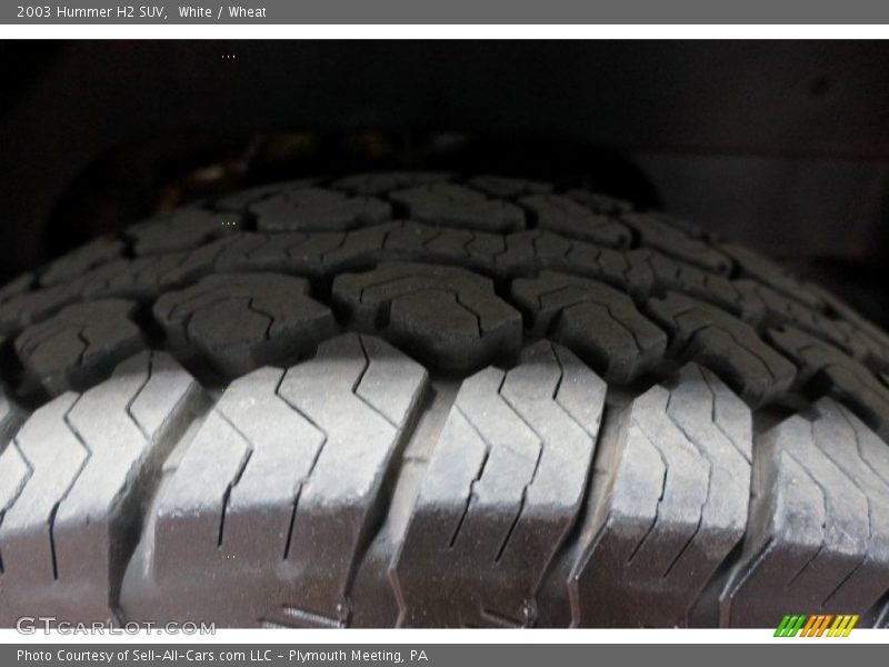 White / Wheat 2003 Hummer H2 SUV