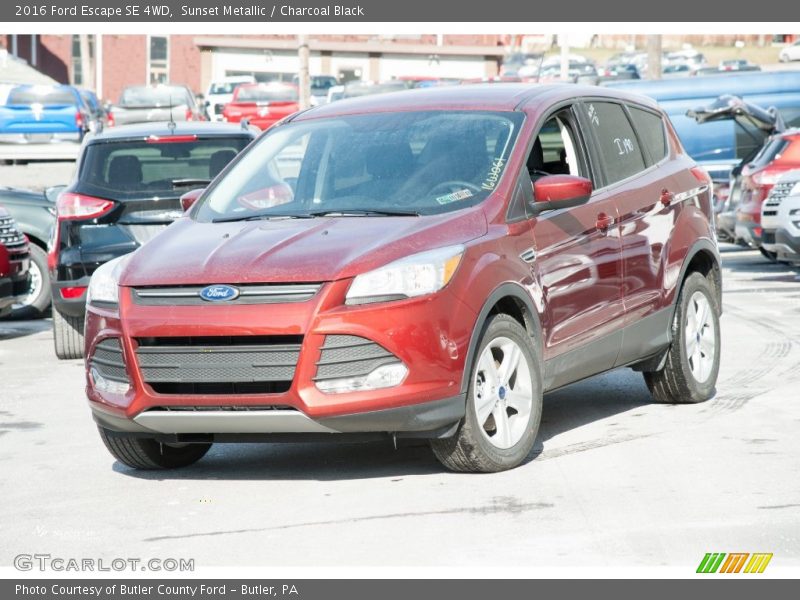 Sunset Metallic / Charcoal Black 2016 Ford Escape SE 4WD