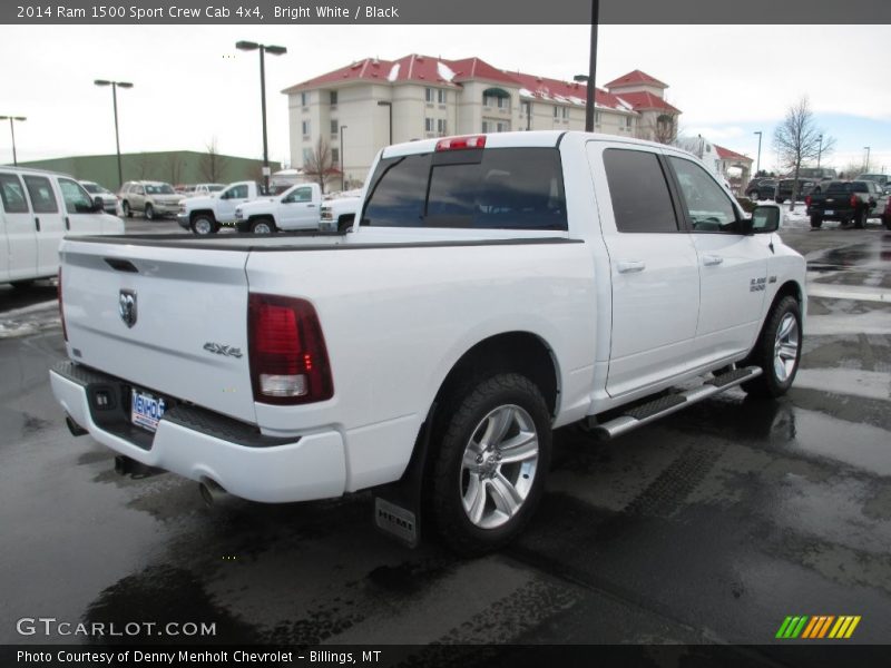 Bright White / Black 2014 Ram 1500 Sport Crew Cab 4x4