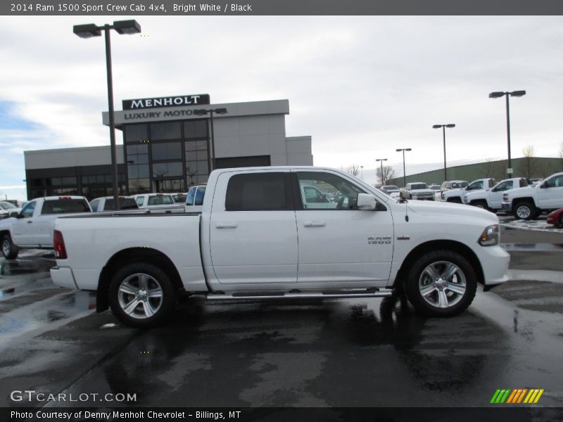 Bright White / Black 2014 Ram 1500 Sport Crew Cab 4x4