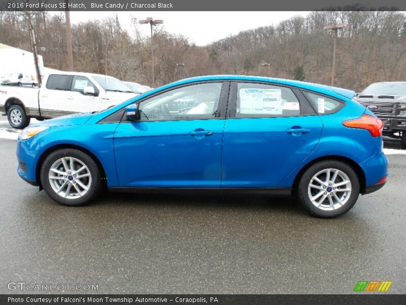 Blue Candy / Charcoal Black 2016 Ford Focus SE Hatch