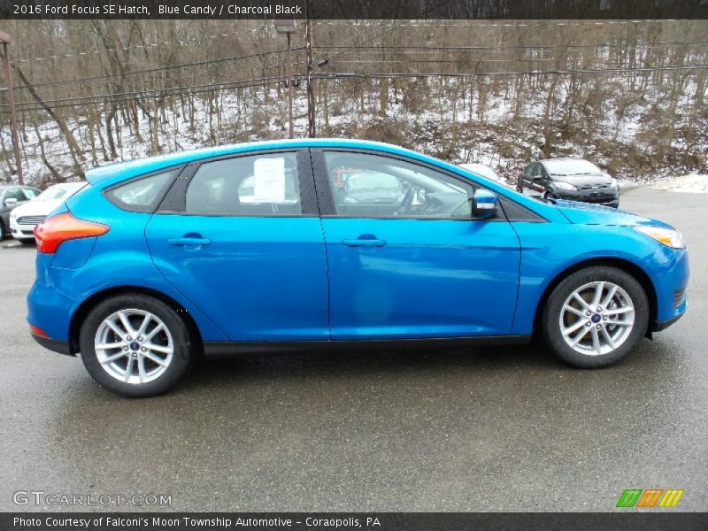 Blue Candy / Charcoal Black 2016 Ford Focus SE Hatch