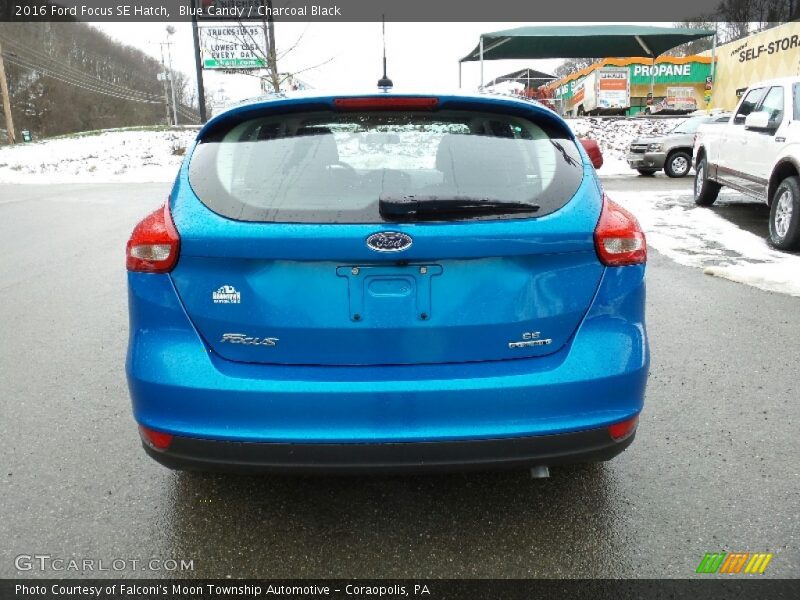 Blue Candy / Charcoal Black 2016 Ford Focus SE Hatch