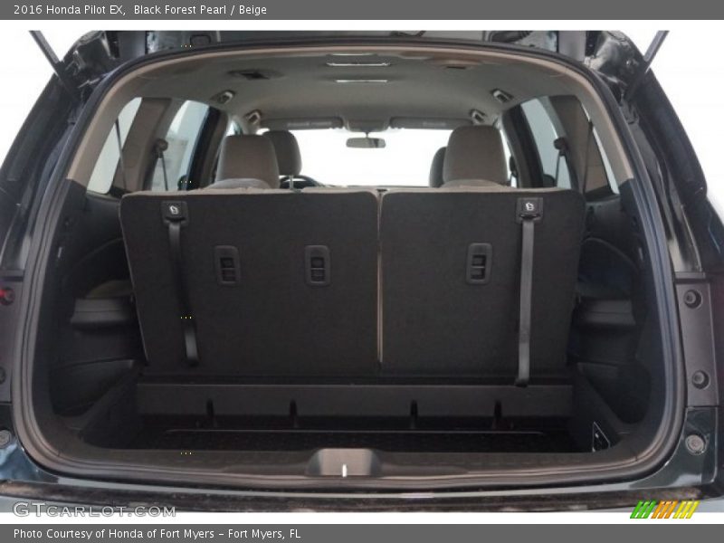 Black Forest Pearl / Beige 2016 Honda Pilot EX