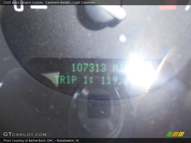 Cashmere Metallic / Light Cashmere 2005 Buick LeSabre Custom