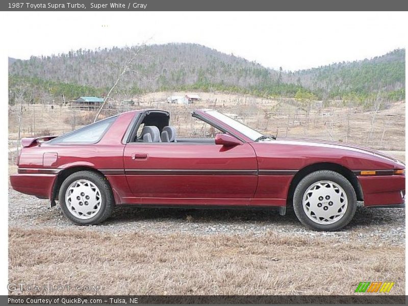 Front 3/4 View of 1987 Supra Turbo