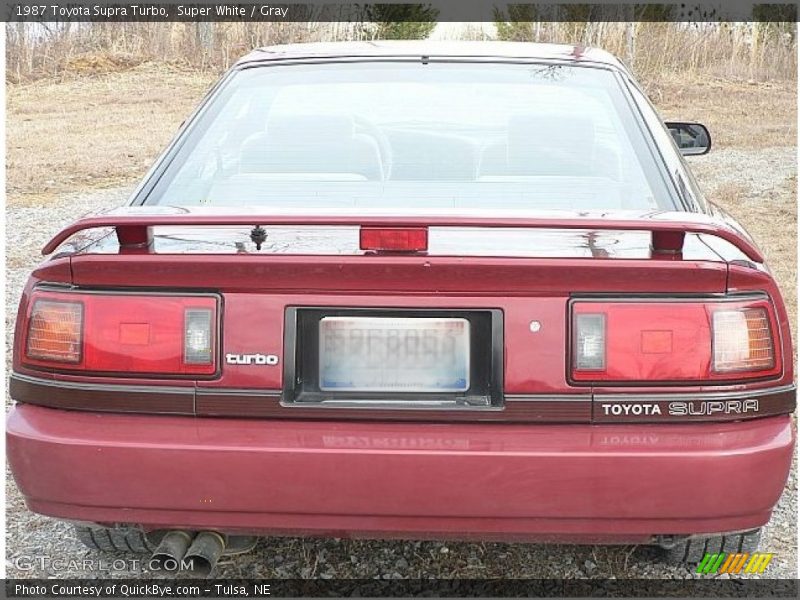 Super White / Gray 1987 Toyota Supra Turbo