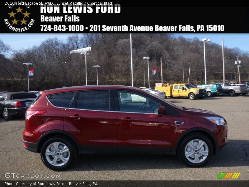 Sunset Metallic / Charcoal Black 2016 Ford Escape SE 4WD