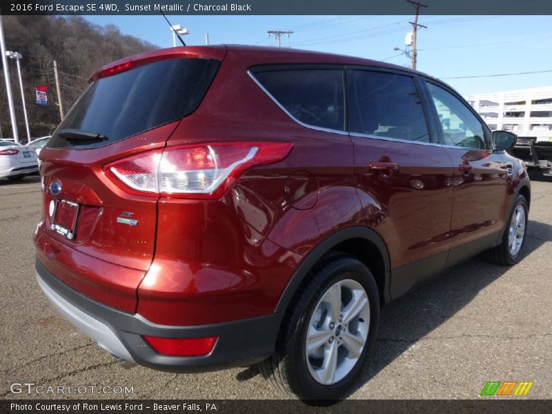 Sunset Metallic / Charcoal Black 2016 Ford Escape SE 4WD