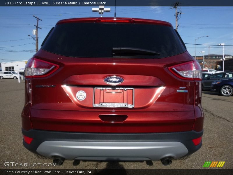 Sunset Metallic / Charcoal Black 2016 Ford Escape SE 4WD