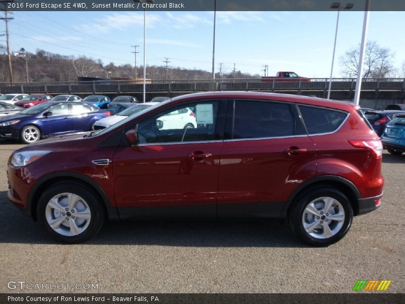 Sunset Metallic / Charcoal Black 2016 Ford Escape SE 4WD