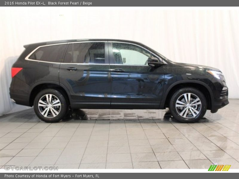 Black Forest Pearl / Beige 2016 Honda Pilot EX-L