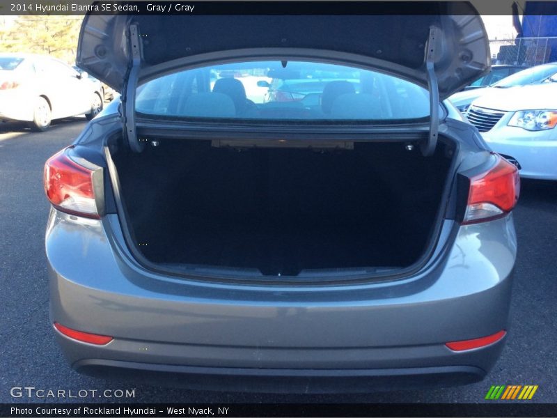 Gray / Gray 2014 Hyundai Elantra SE Sedan