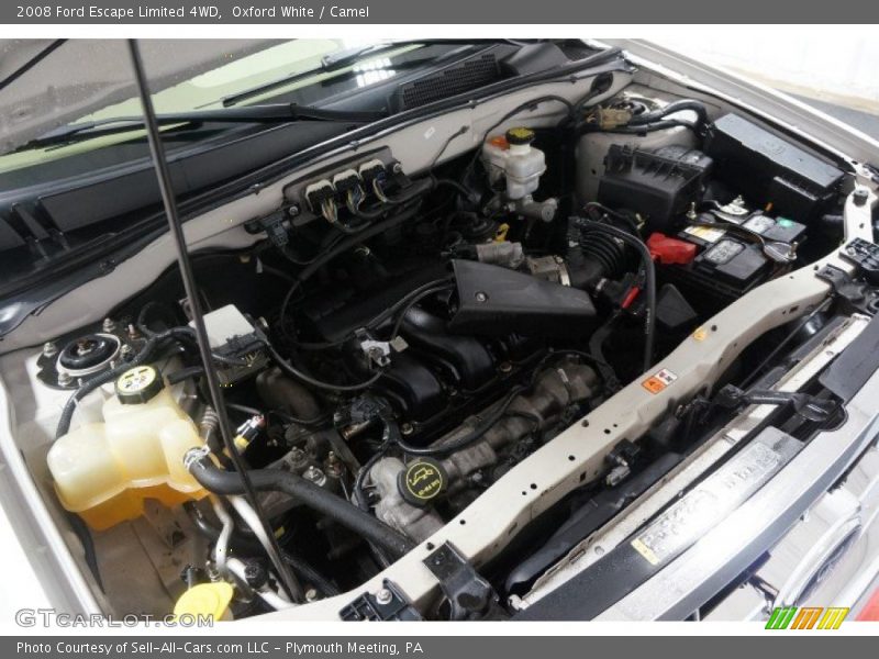 Oxford White / Camel 2008 Ford Escape Limited 4WD