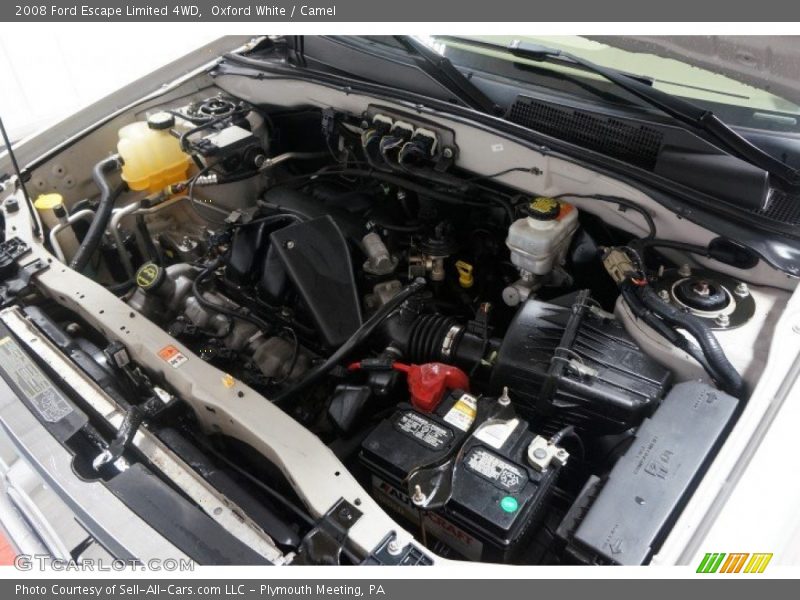 Oxford White / Camel 2008 Ford Escape Limited 4WD