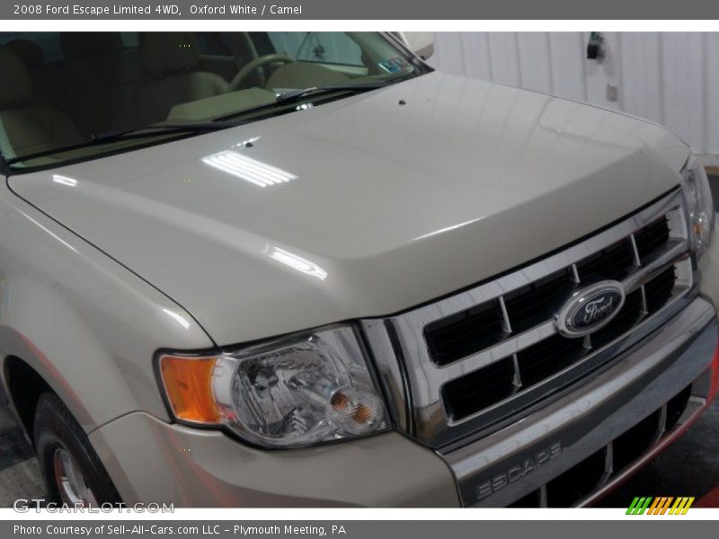 Oxford White / Camel 2008 Ford Escape Limited 4WD
