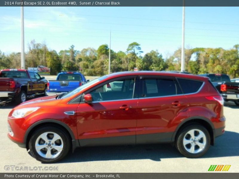 Sunset / Charcoal Black 2014 Ford Escape SE 2.0L EcoBoost 4WD
