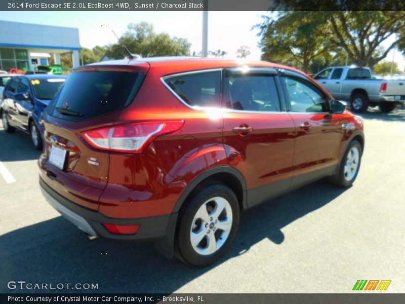 Sunset / Charcoal Black 2014 Ford Escape SE 2.0L EcoBoost 4WD