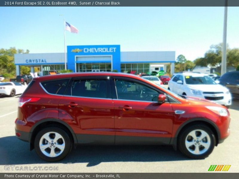 Sunset / Charcoal Black 2014 Ford Escape SE 2.0L EcoBoost 4WD