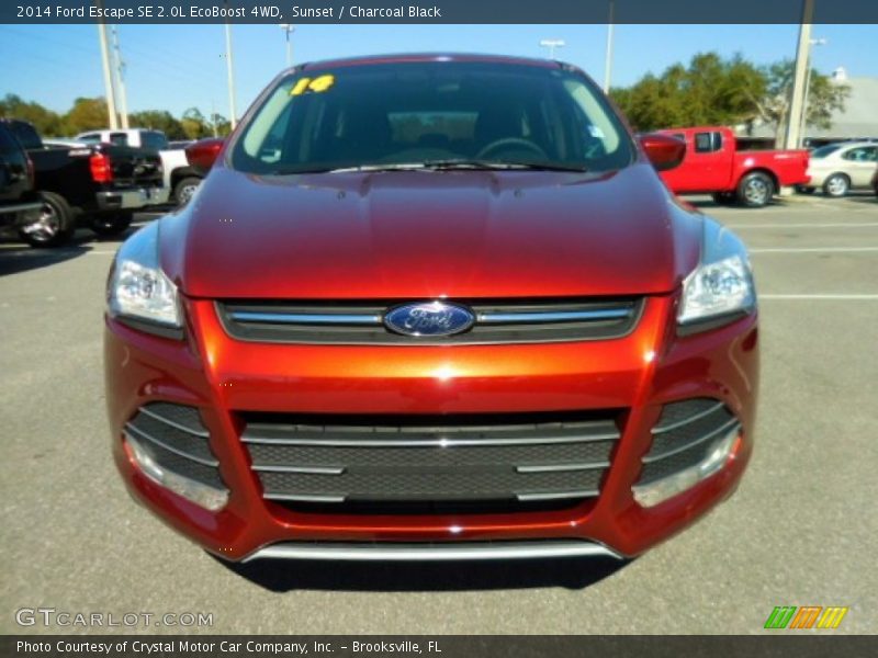 Sunset / Charcoal Black 2014 Ford Escape SE 2.0L EcoBoost 4WD