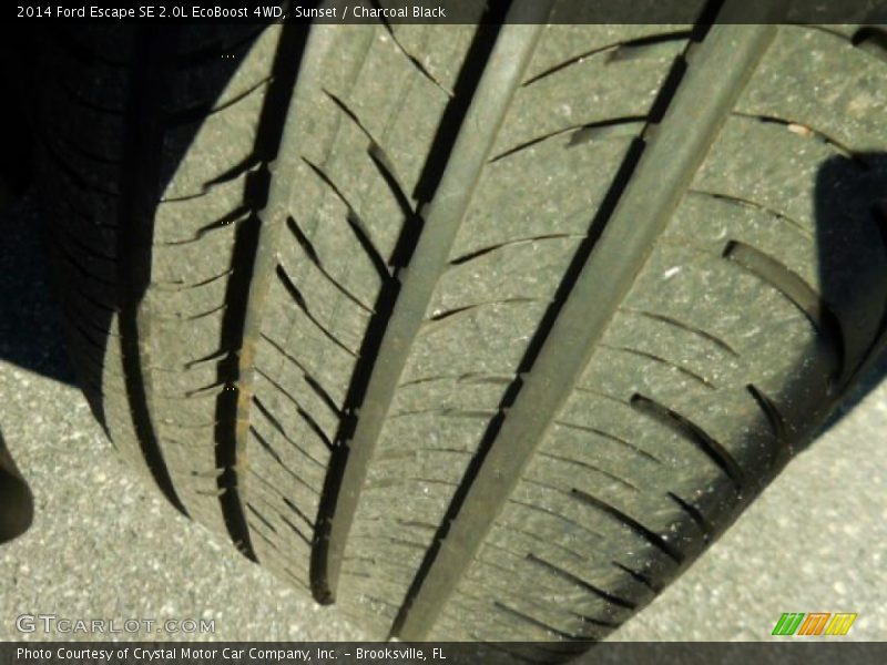 Sunset / Charcoal Black 2014 Ford Escape SE 2.0L EcoBoost 4WD
