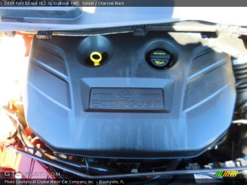 Sunset / Charcoal Black 2014 Ford Escape SE 2.0L EcoBoost 4WD