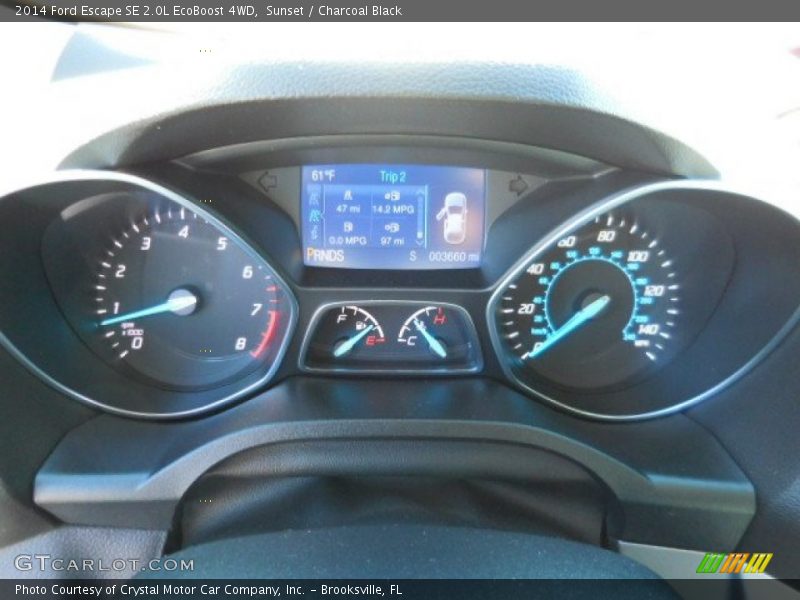 Sunset / Charcoal Black 2014 Ford Escape SE 2.0L EcoBoost 4WD